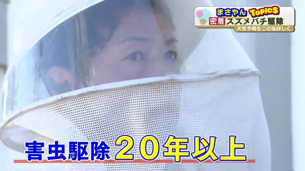 熊本の蜂の巣駆除は中川シロアリ研究所へ!豊富な経験で培った安全確実な蜂の巣駆除技術と熊本県内最安の料金で、お客様に安心のサービスをお届けいたします。蜂の巣駆除のことなら何でもぜひお任せ下さい。